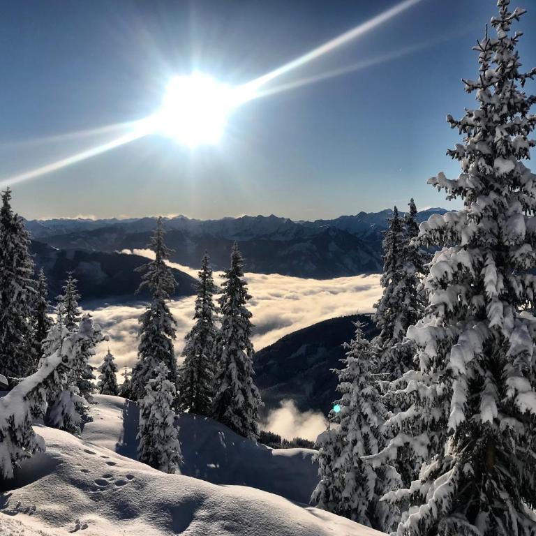 Landhaus Bergner Alm - Apartment mit Blick auf die Berge - 26