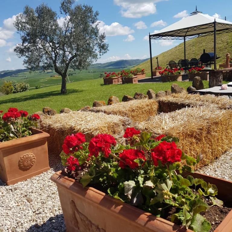 Agriturismo Poggio Tobruk - Camera Matrimoniale - 9