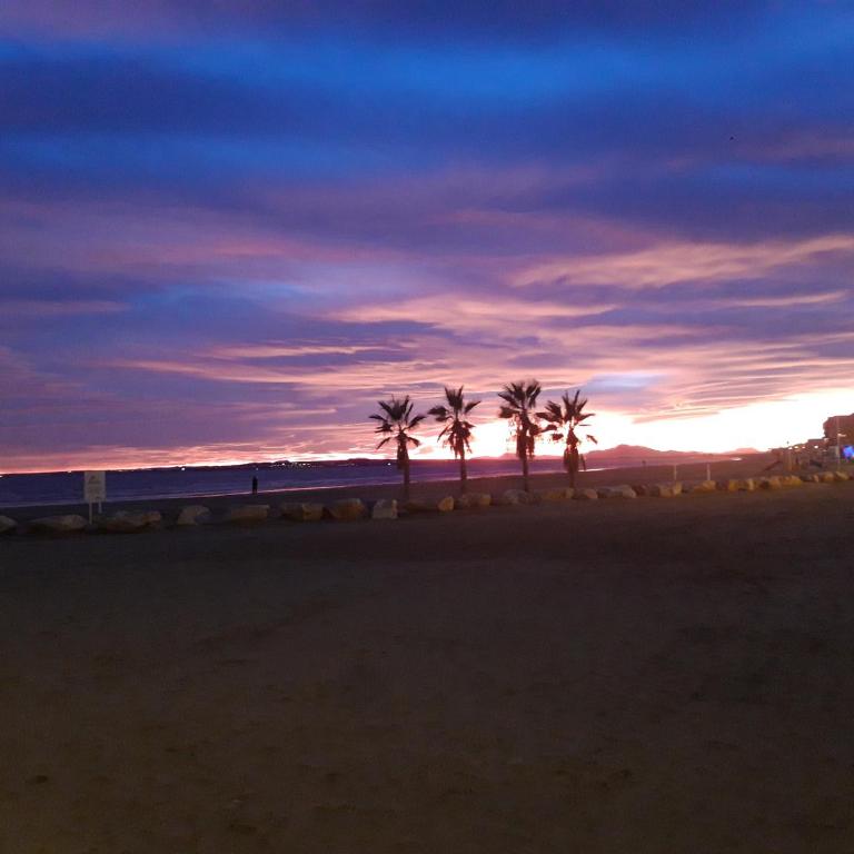 Sunset Beach - Apartamento de 2 dormitorios - 2