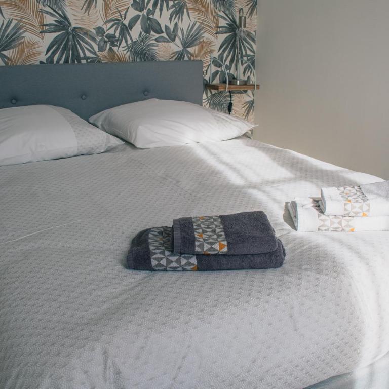 T2 BedinSaumur LOIRE CHATEAU tout CONFORT - Appartement 1 Chambre - 9