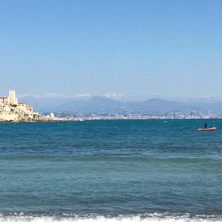 Artistic Antibes Apartment - Appartement 1 Chambre - 40