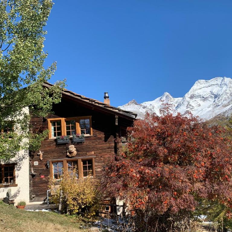Châlet Birkhahn - Chalet - 17