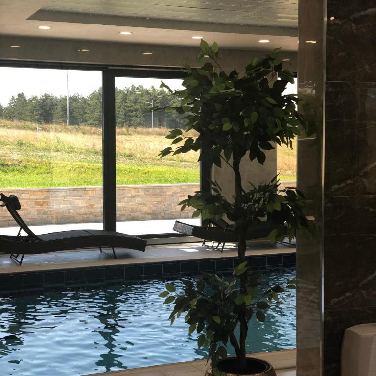 Zlatibor Hills Star - Apartman sa Terasom - 4