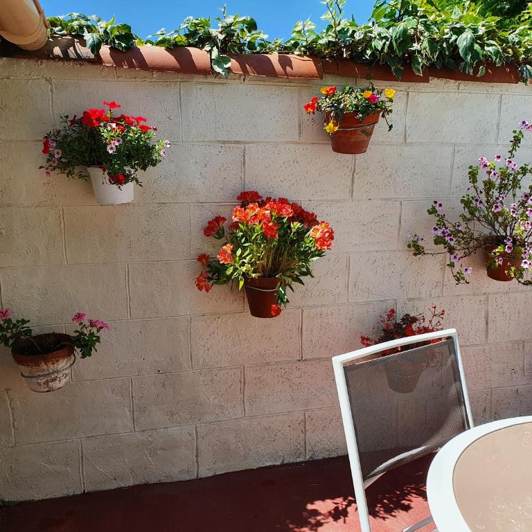 Villa Dora - Appartement avec Terrasse - 6