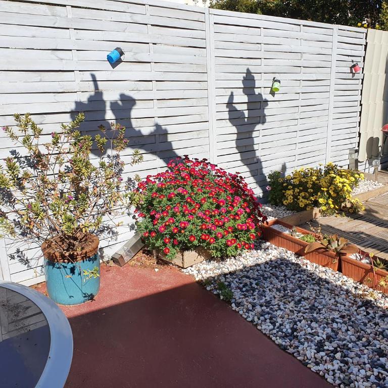 Villa Dora - Appartement avec Terrasse - 7