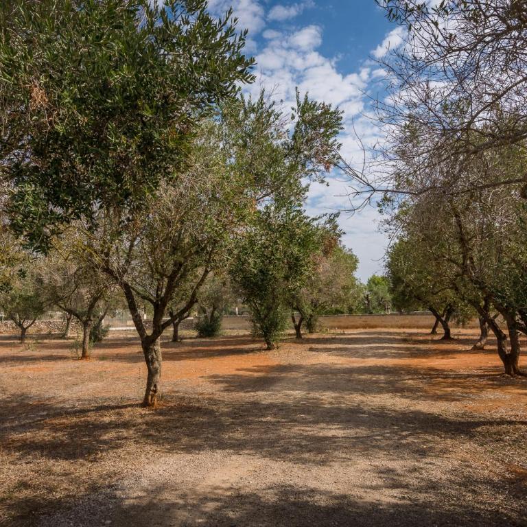 Cottage a 5 minuti dal mare - Appartamento - 15