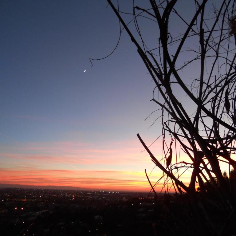 Bed & Breakfast Sant'Erasmo - Camera Doppia con Letti Singoli e Giardino Privato - 19