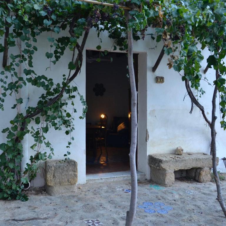 La Villa di Minerva - Villa - 18