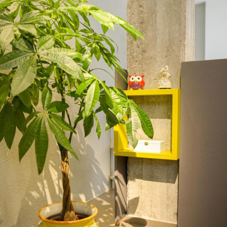 Exclusive Loft Salerno Centro - Loft - 21