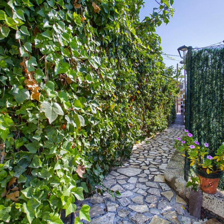 Romantic Hamlet Cottage with Private Pool La Fragua de Eliseo - Casa con 1 dormitorio - 34