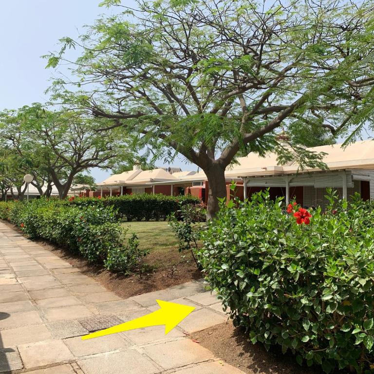 Flamboyant Tree Garden Holiday Home - Casa de 2 dormitorios - 60