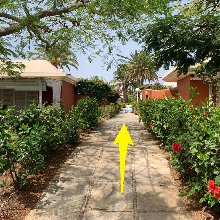 Flamboyant Tree Garden Holiday Home - Casa de 2 dormitorios - 61