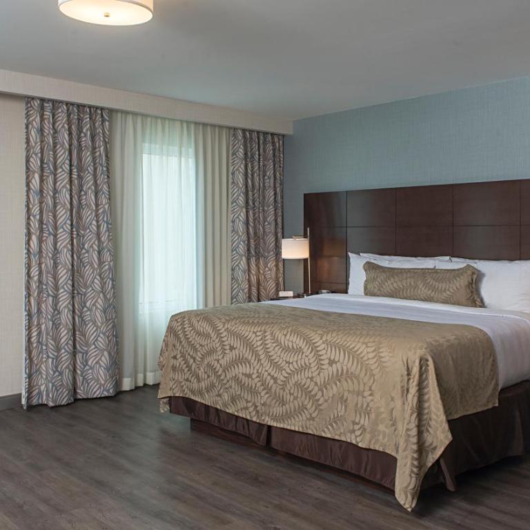 Staybridge Suites Puebla by IHG - Suite Estudio adaptado para personas con discapacidad - 1 cama grande - 4