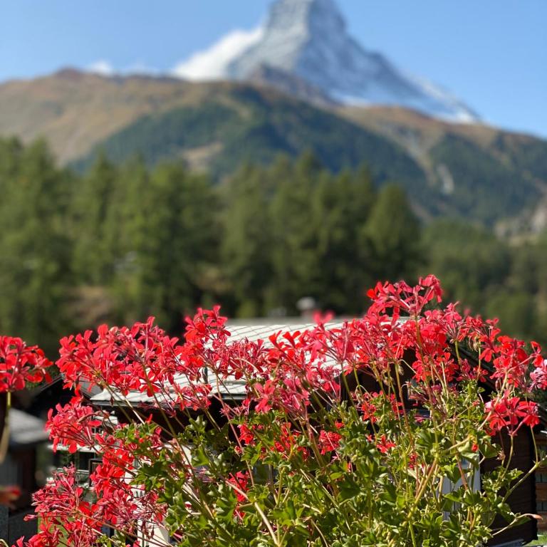 Chalet Bull Zermatt - Apartamento con vistas a las montañas - 3