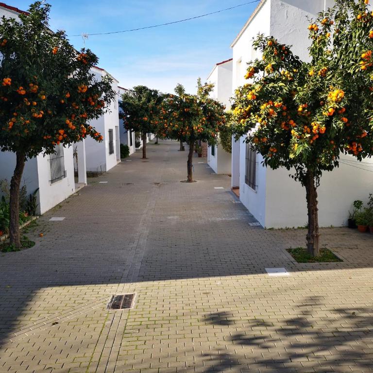 Hermoso Apartamento en Conil - Apartamento de 2 dormitorios - 29