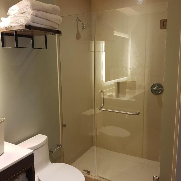 Staybridge Suites - Guadalajara Novena by IHG - Suite Estudio con 2 camas grandes - 6