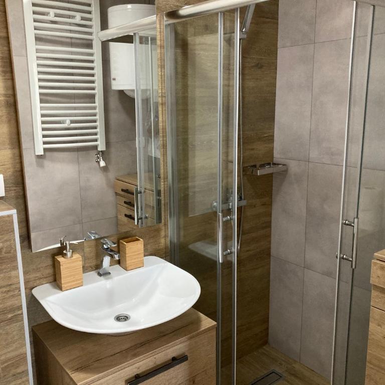 Family Apartmani Kopaonik - One-Bedroom Apartment - 10