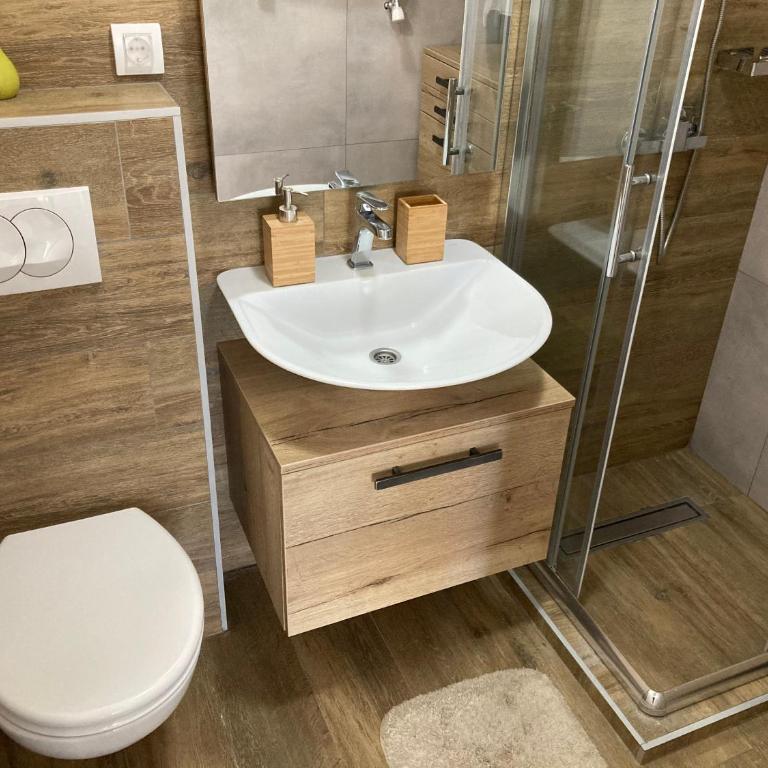 Family Apartmani Kopaonik - One-Bedroom Apartment - 11