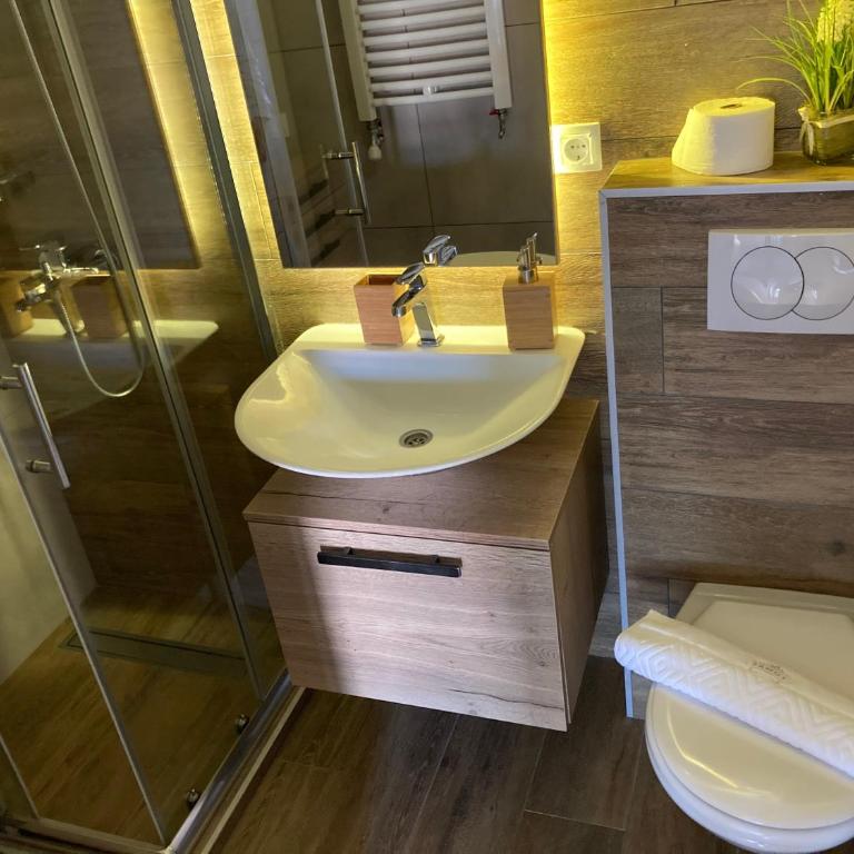 Family Apartmani Kopaonik - One-Bedroom Apartment - 16
