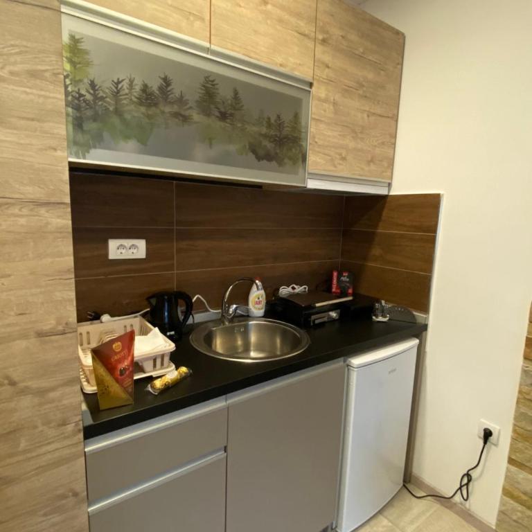 Kopaonik Apartmani Milmari - Katic - Deluxe King Studio - 4