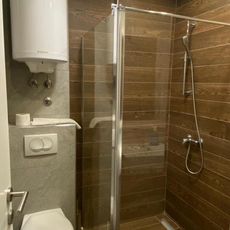 Kopaonik Apartmani Milmari - Katic - Deluxe King Studio - 10