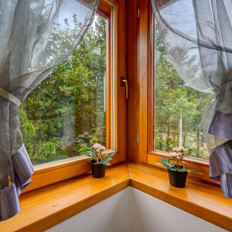 Krila Zlatibora - Apartment with Mountain View - 3