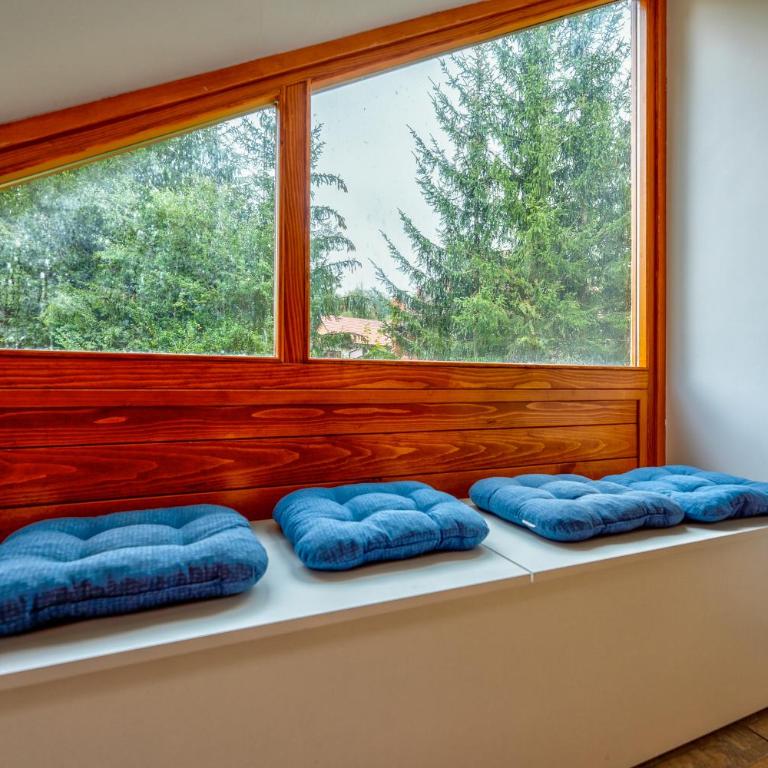 Krila Zlatibora - Apartment with Mountain View - 10