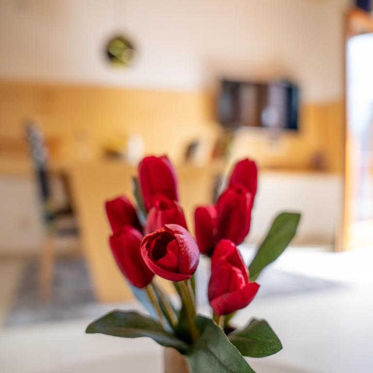 Krila Zlatibora - Duplex Suite - 8