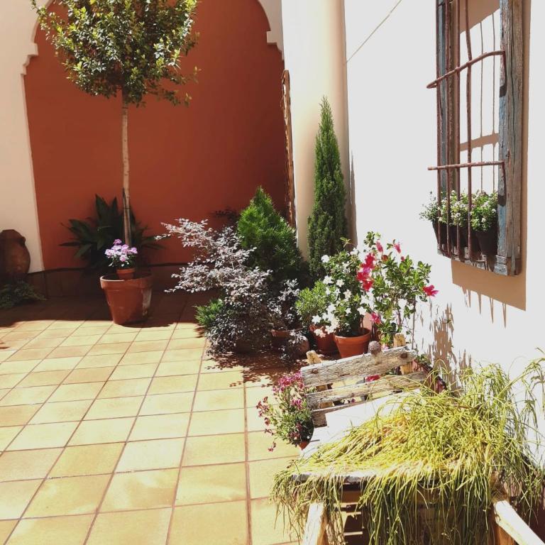 Ziza - Apartamento - 34