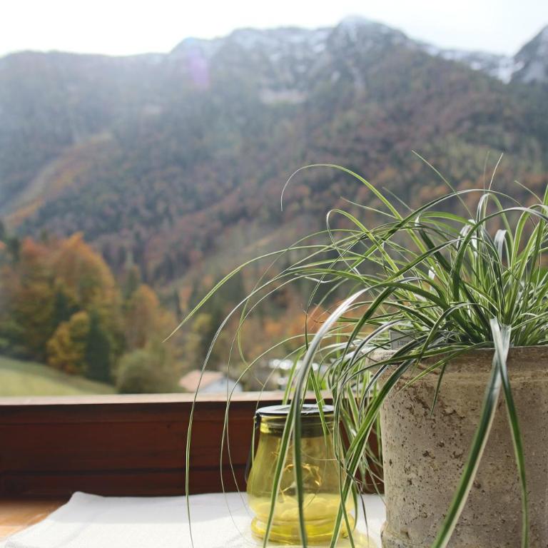Kienberghof - Apartment mit 1 Schlafzimmer - 9