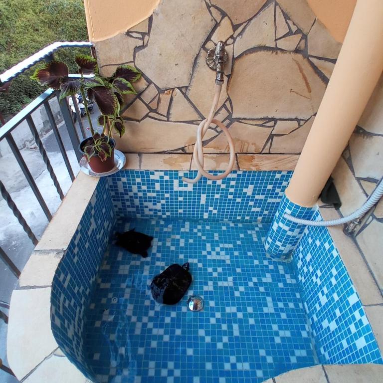 Casa La scivola - Two-Bedroom Apartment - 39