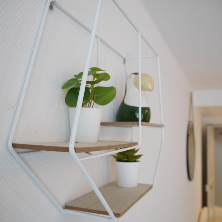 Les Cosy de Nancy - Le repère du roi stanislas 4étoiles - Appartement Supérieur - 6
