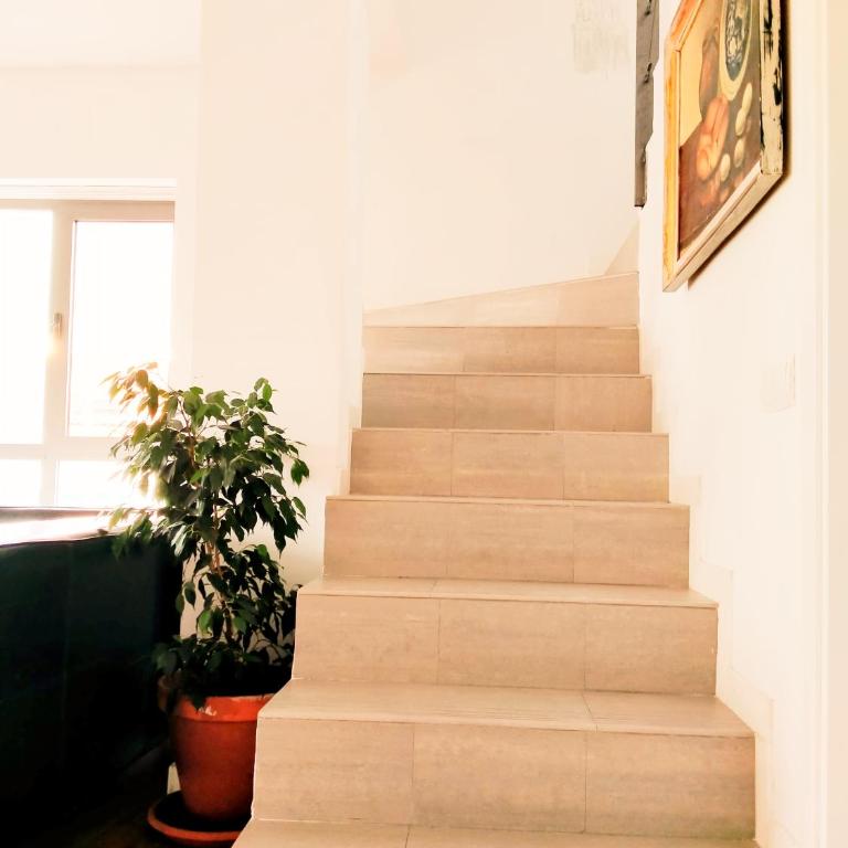 TOLETUM low cost LOFTS dúplex diáfanos o 2dormitorios PARKING Municipal Gratis al aire libre a 100m - Apartamento Dúplex - 1