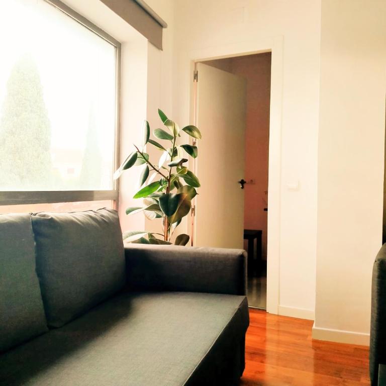 TOLETUM low cost LOFTS dúplex diáfanos o 2dormitorios PARKING Municipal Gratis al aire libre a 100m - Apartamento de 2 dormitorios - 4