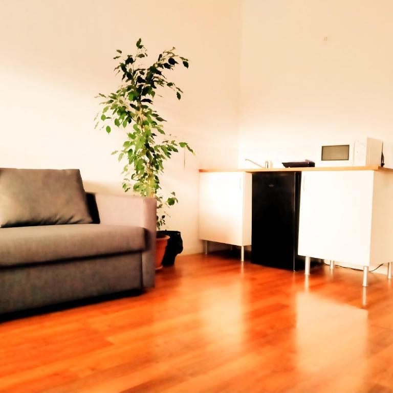 TOLETUM low cost LOFTS dúplex diáfanos o 2dormitorios PARKING Municipal Gratis al aire libre a 100m - Apartamento de 2 dormitorios - 1