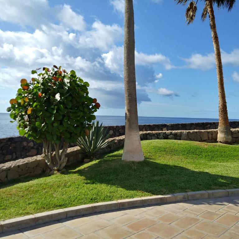 Sur Costa del Silencio Heated pool - Apartamento con terraza - 12
