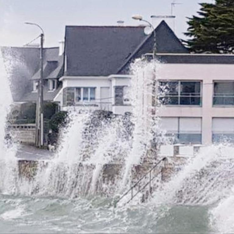 Studio face à la mer - Studio - 22