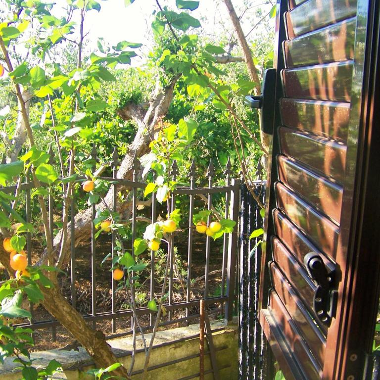 Villa Casa Vacanze Fiore - Appartamento con 2 Camere da Letto e Giardino Privato - 2
