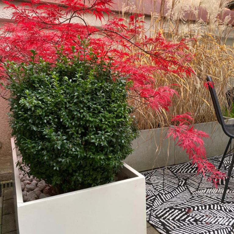 Como Design-Apartment close to Isar river area - centrally located - Apartamento - 2 niveles - 29