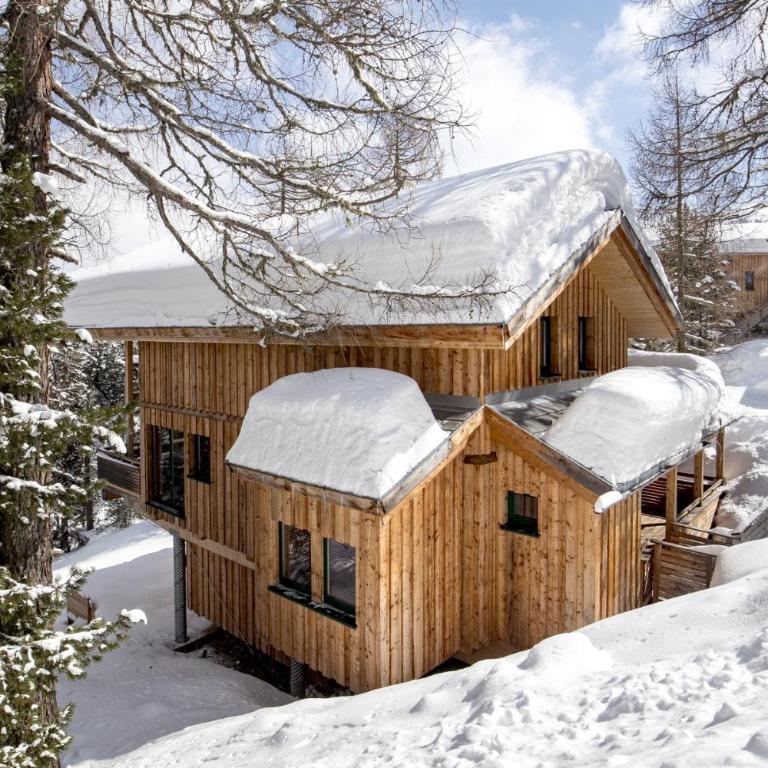 Alpenpark Turrach by ALPS RESORTS - Ferienhaus für bis zu 14 Personen - 6