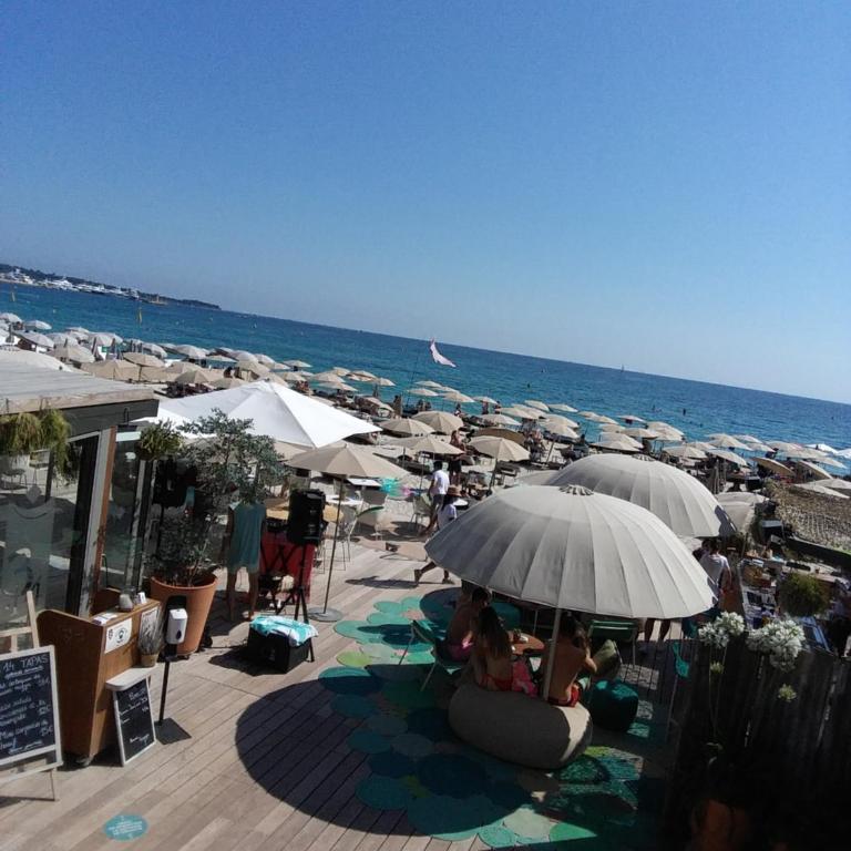 Gatsby Cannes Croisette - Apartamento de 1 dormitorio - 11
