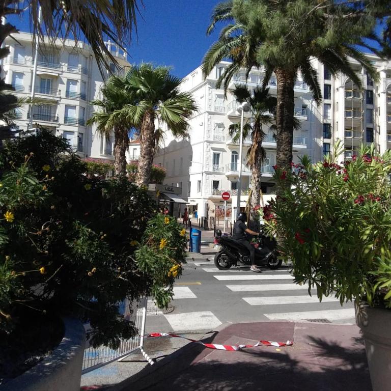 Gatsby Cannes Croisette - Apartamento de 1 dormitorio - 13