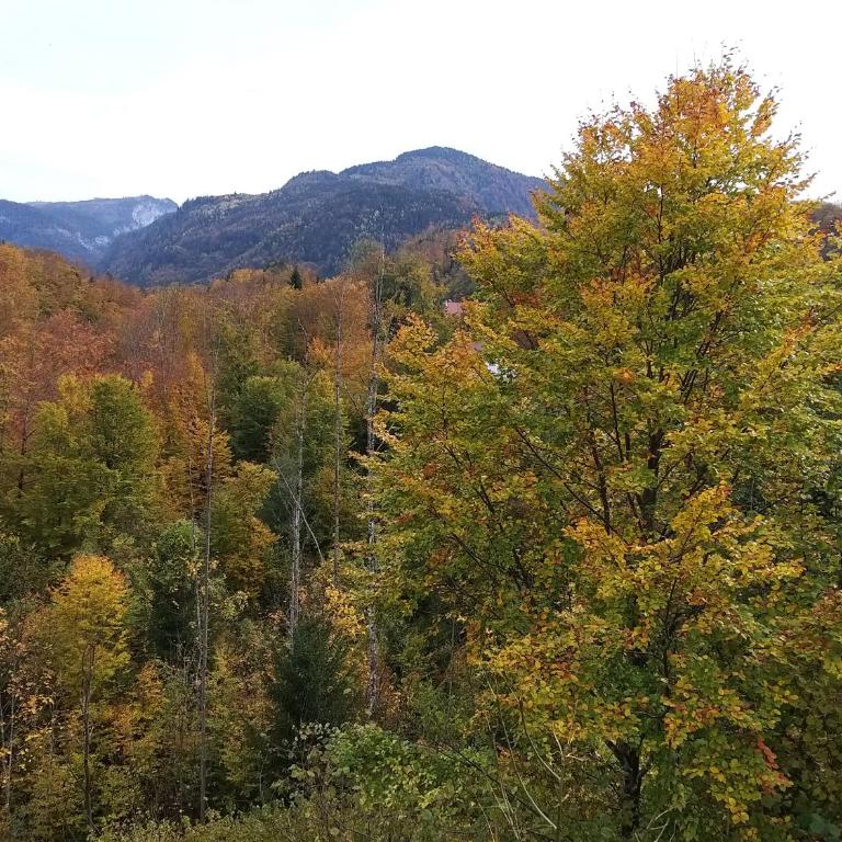 CHILL&SLEEP Bad Ischl - Apartment mit Blick auf die Berge - 25