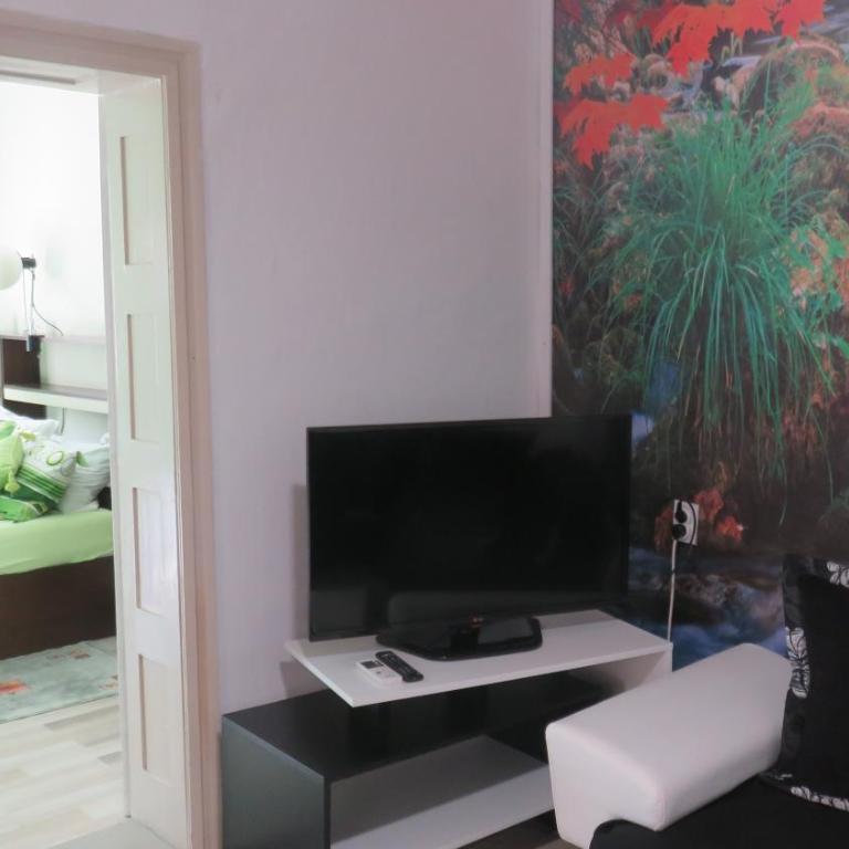 Guest House Pavlovic - Dupleks Apartman s 2 Spavaće Sobe - 16