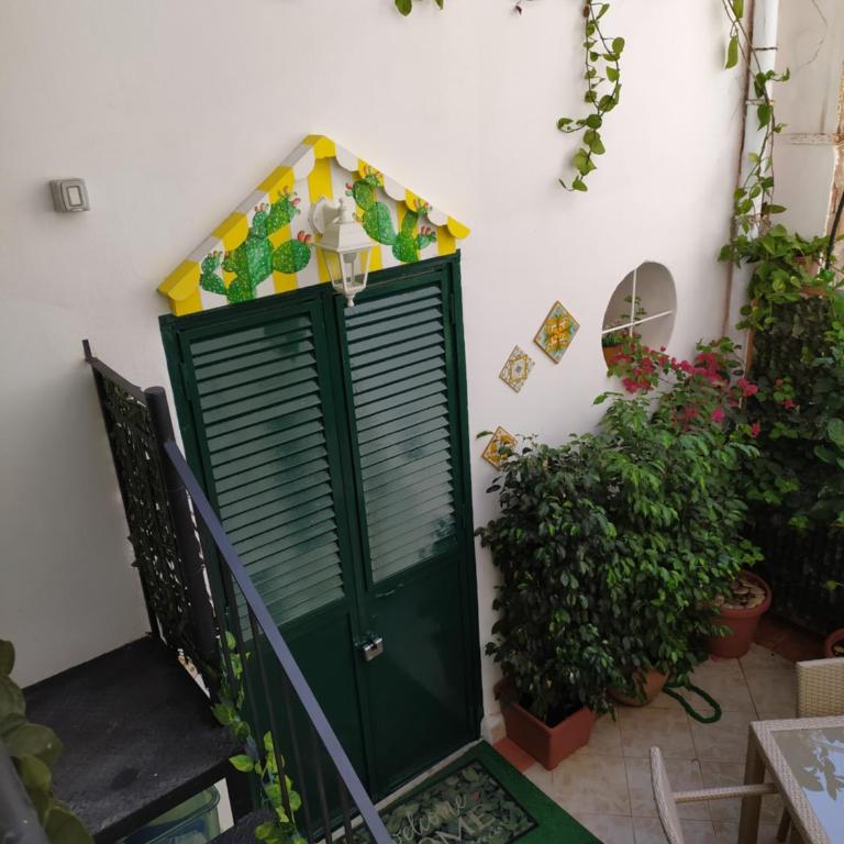 Casa Sicana - Apartment - 5