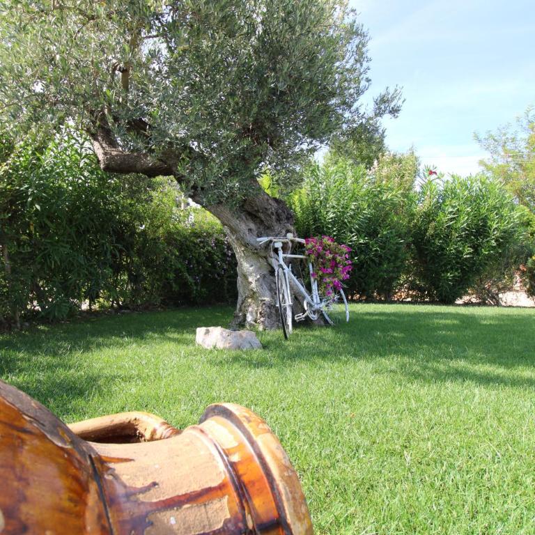 Villa Belvedere - Villa con Piscina Privata - 25