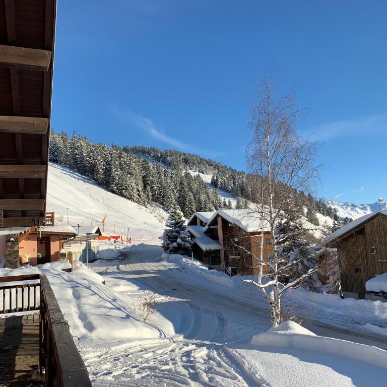 Grand appartement aux SAISIES - Appartamento con 2 Camere da Letto - 16