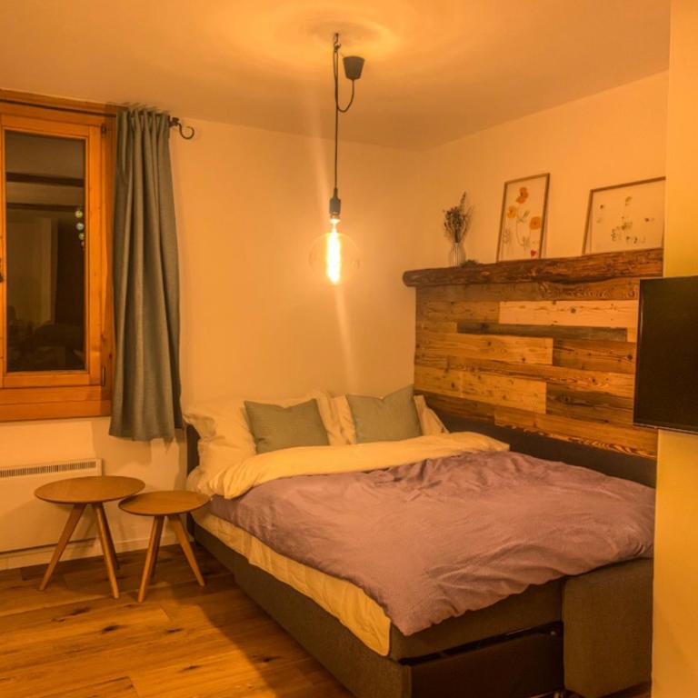 Ferienwohnung in den Bergen mit grosser Terrasse - Apartment mit 1 Schlafzimmer - 11