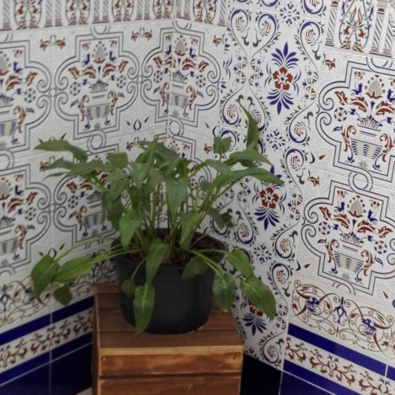 Hermoso Apartamento en Conil - Apartamento de 2 dormitorios - 25