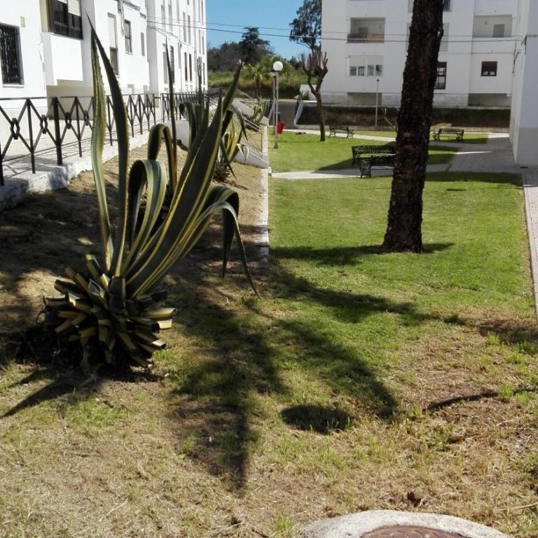 Hermoso Apartamento en Conil - Apartamento de 2 dormitorios - 15
